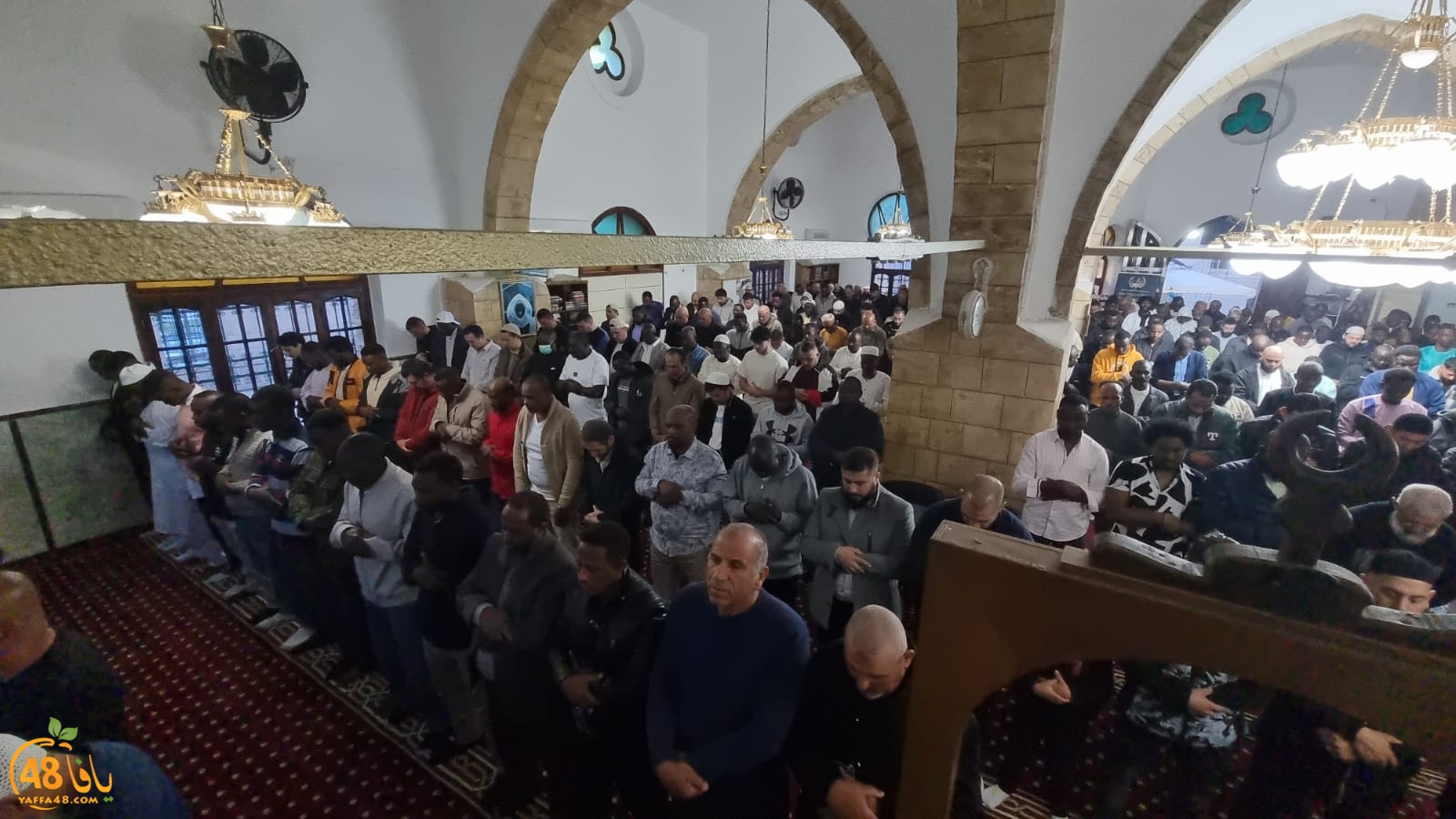 WhatsApp Image 2024-04-10 at 6.58.36 AM (2).jpeg